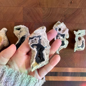 May include: Five agate slices with black and white patterns. The agate slices are on a wooden surface.
