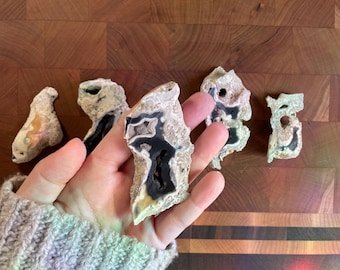 May include: Five agate slices with black and white patterns. The agate slices are on a wooden surface.
