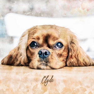 Custom Pet Portraits. Dog Portrait, Cat Portrait, Pet Paintings, Digital Art, Dog Lovers Art, Cat Lovers Art