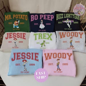 Disney Toy Story Shirt, Toy Story Gift, Birthday Gift for Disney Fan, Disneyland Trip Family Shirt, Disney Toy Story Shirt, Woody Bo Peep