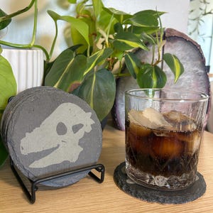 May include: A stack of gray slate coasters with a light gray dinosaur skull design, displayed in a black metal holder. A glass of cola with ice sits on a matching coaster. Green plants are in the background.