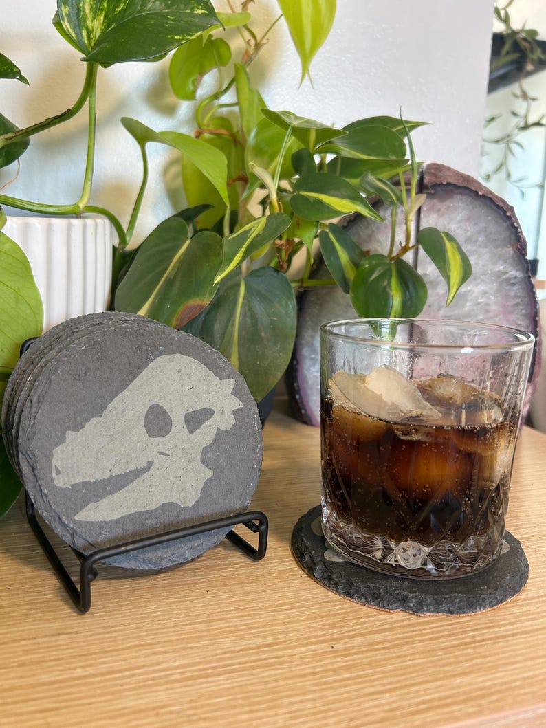 May include: A stack of gray slate coasters with a light gray dinosaur skull design, displayed in a black metal holder. A glass of cola with ice sits on a matching coaster. Green plants are in the background.