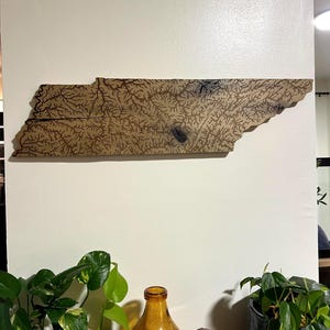 May include: A wooden wall hanging in the shape of the state of Tennessee. The wood is light brown with a detailed, dark brown pattern resembling a river system. The artwork is mounted on a white wall, with plants and a decorative bottle in the foreground.