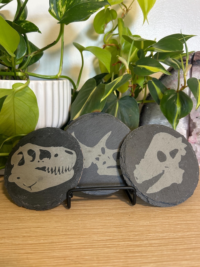 May include: Three round, gray slate coasters with etched dinosaur skull designs. The coasters are displayed on a black metal stand, showcasing a T-Rex, Triceratops, and other prehistoric creatures. The background features green plants.