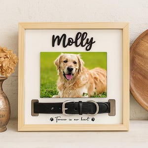 May include: A framed pet memorial featuring a photo of a golden retriever, the name "Molly", and a black leather dog collar. The frame is light wood with the text "Forever in our heart" and paw prints.