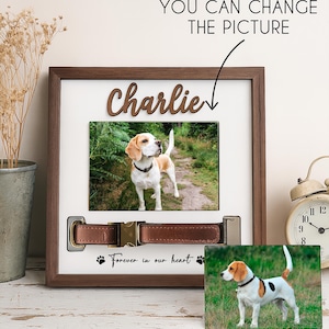 May include: A framed pet memorial featuring a photo of a Beagle dog. The frame includes a brown leather dog collar and the name "Charlie" in wooden letters. The text "Forever in our heart" is also included.