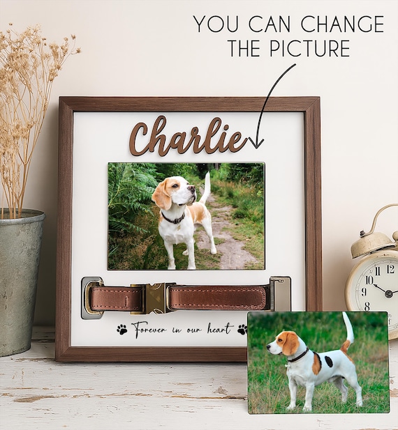 Personalized Pet Memory Frame, Dog Collar Shadow Box, Custom Pet Photo Gift, Pet Loss Sympathy Gift, Forever Loved Dog Memorial