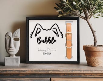 Custom Pet Memorial Frame, Dog Collar Shadow Box, Pet Loss Gift, Personalized Dog Name Sign, Dog Memory Frame, Rainbow Bridge Keepsake