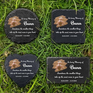 Loss Of Lizard Memorial Stone, Remembrance Stone, Pet Memorial Gifts, Lizard Lover Gifts, Lizard Loss Sympathy Gifts, Leopard Gecko Memorial