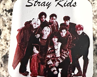 Imagen impresa en 3D de Stray Kids