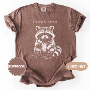 Comfort Colors Snack Raccoon T-Shirt, Gift For Raccoon Lover Shirt, Funny Animal Tee