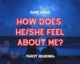 Same Day Love Tarot Reading: Feelings and Insights