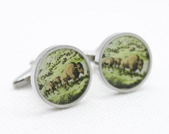 May include: A pair of round silver-toned cufflinks featuring a detailed illustration of a herd of brown bison grazing in a green grassy field. The circular metal frames have a polished finish and a smooth, clean edge surrounding the artwork.