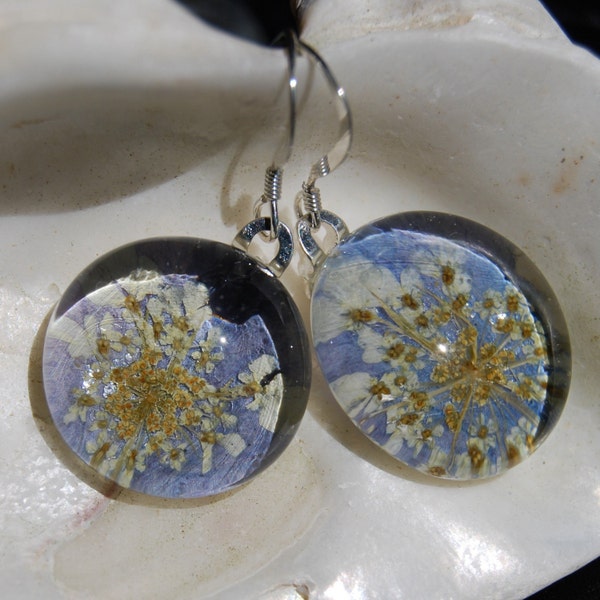 Cornflower Blue dangle earrings. Real pressed flowers behind glass.