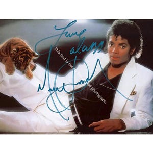 Vinyl Invincible Album Michael Jackson - Etsy
