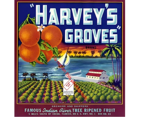 Harvey's Groves Orange Fruit Crate Label Art Print, Indian River