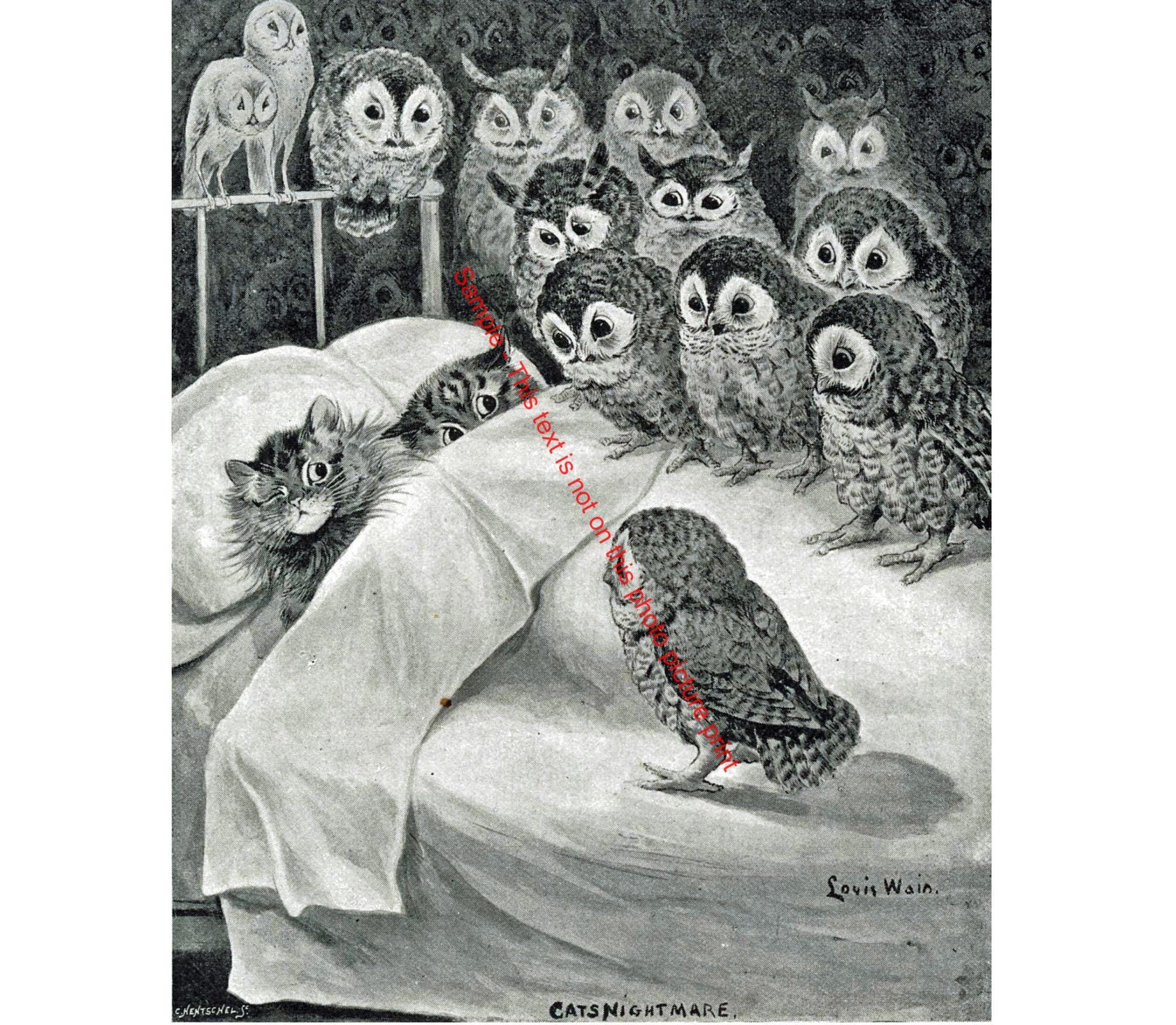 Cat Nightmare Kitten Owl Vintage Photo Print Black White Wall Art Sleeping Feline Bird Fantasy Cute 