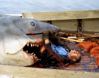 JAWS 1975 Movie Great White Shark In The Bay Rare Deleted Scene 8x10 Photo | #2061249311 - Foto 6