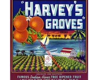 Harvey's Groves Orange Fruit Crate Label Art Print, Indian River Cocoa Florida Food Label Art Collectible Vintage Photo Poster Picture 417C