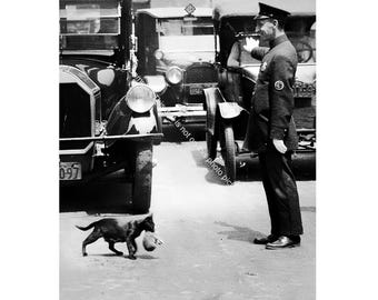 Cop Stops Traffic New York Mother Kitten Crossing Vintage Cat Photo Print Cute Funny Pussy Kittens Photography Black White Image 121C