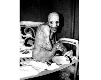 Alien UFO Strange Vintage Photo Captured Aliens Weird Area 51 SpaceCraft Strange Animal Freaky Bizarre Rare Print Photograph Image Y45