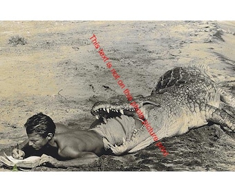 Alligator Eating Man Strange Vintage Photo Crocodile Strange Crazy Freaky Bizarre Vintage Photo Weird Print Poster Photograph Art P48