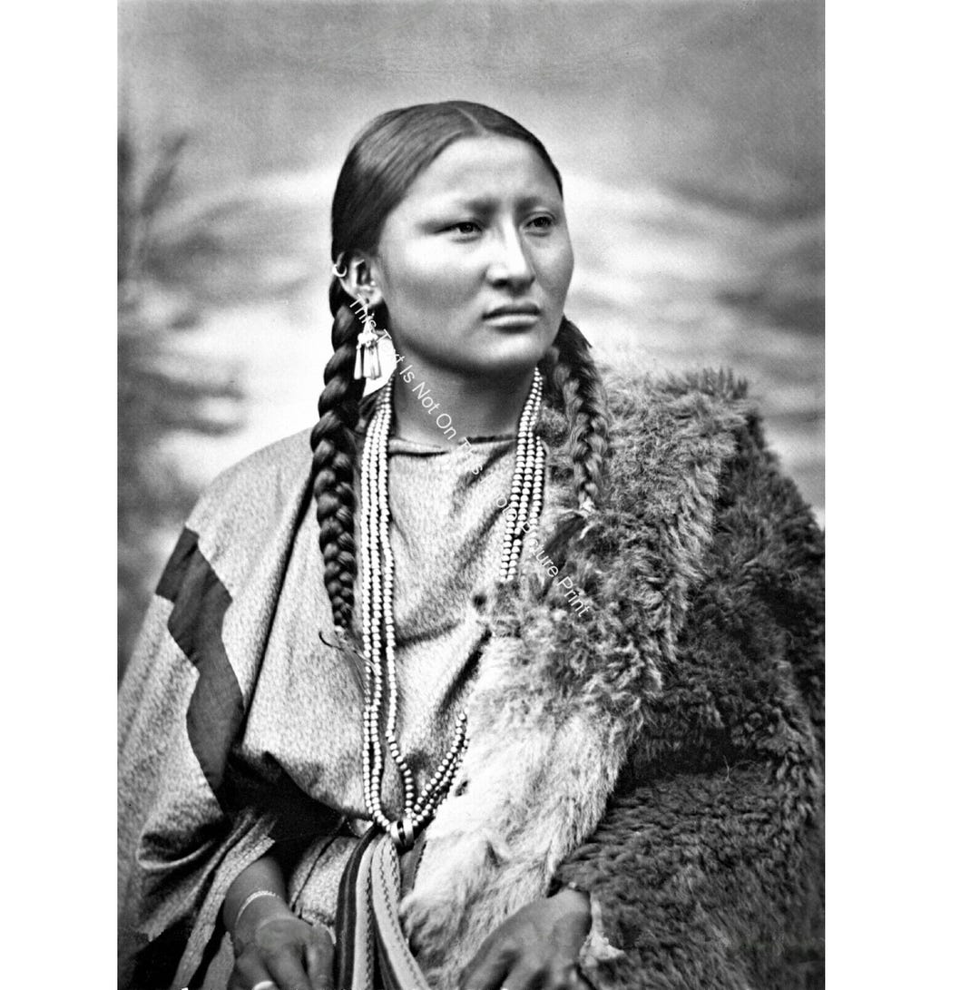 Pretty Nose Female War Chief Photo Battle of Little Big Horn 1879 Woman ...