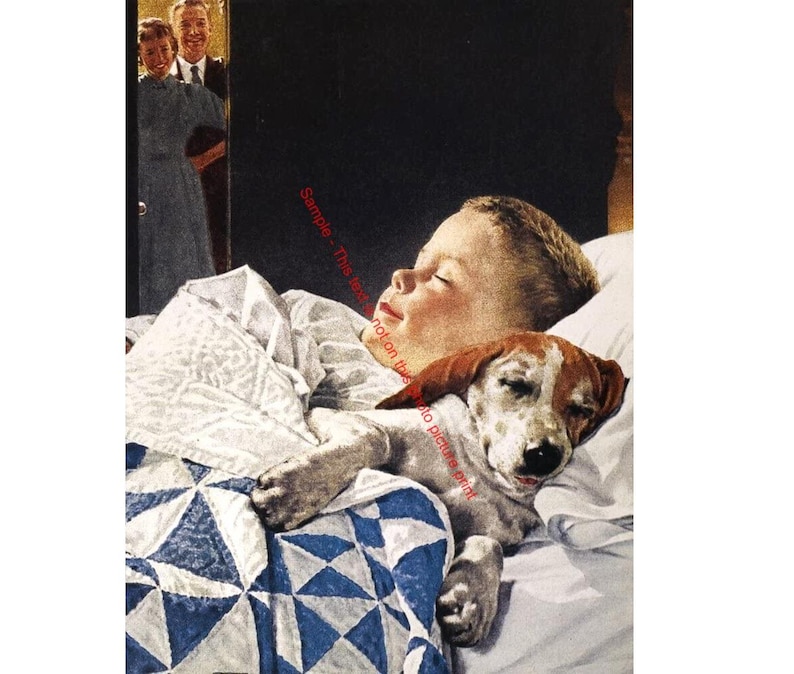 Curated visual reference: Fresh Look at A Boy And His Dog Norman Rockwell Art Cute Puppy