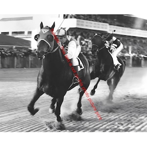 Seabiscuit War Admiral 1938 Horse Race Vintage Photo Print Baltimore