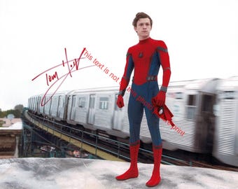 トム・ホランド&ゼンデイヤ 直筆サイン入りフォト 映画 スパイダーマン