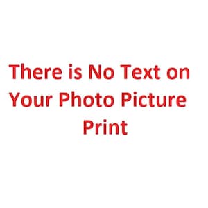 May include: White background with red text that reads "There is No Text on Your Photo Picture Print."