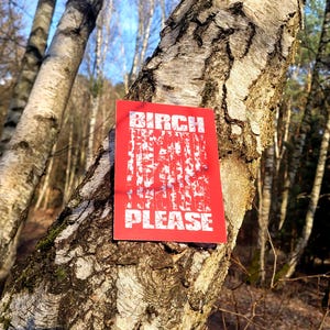 Könnte beinhalten: Ein rechteckiger Aufkleber mit leuchtend rotem Hintergrund und dem weißen Schriftzug "BIRCH PLEASE" in einer fetten, blockartigen Schrift. Die Buchstaben sind mit einem weißen, strukturierten Muster gefüllt, das Birkenrinde imitiert.
