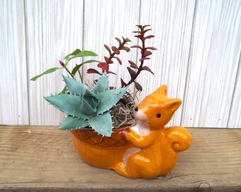 Squirrel Succulent Faux Arrangement in Ceramic Planter Featuring 3 Succulents, Desk, Dorm, Shelf Decor, Birthday or Appreciation Gift Idea