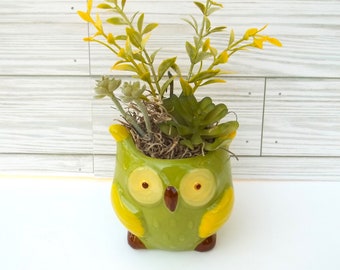 Owl Succulent Faux Arrangement in Ceramic Planter w/3 Succulents, Tier Tray, Desk, Dorm, Shelf Decor, Birthday or Appreciation Gift Idea