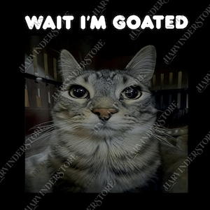 Wait I&#39;m Goated Cat Meme png, Weirdcore png, Silly Cat png, Unhinged png, Cat love Kitten png, Funny Teenager Gifts, Cat Lover