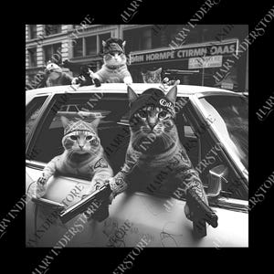 Rolig kattgängvintage png, katt png, rolig grafik png, meme png, grafisk t-shirtpresent för män, kvinnor och män