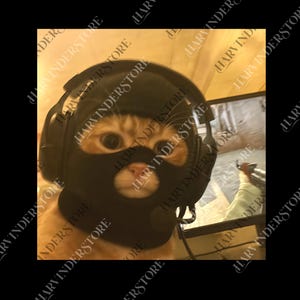 Funny Thief Cat Meme png, Cat Wearing Mask digital, Gen Z Joke png, Stupid Brainrot Gift, Cat Lover Gift, Funny Kitty png, Cool Cat png
