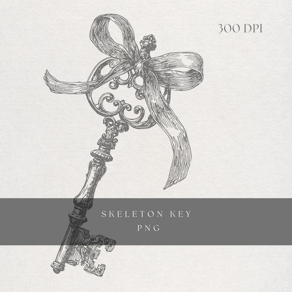 Fine Line Antique Key Illustration | Skeleton Key Clipart PNG | Transparent Background | Digital Download Vintage Gothic Key Art