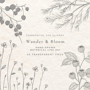 50 cliparts botaniques fins | Herbes, baies, cosses, plante minimale PNG | Extraits botaniques de dessin au trait | Lot de dessins au trait pour logo de mariage