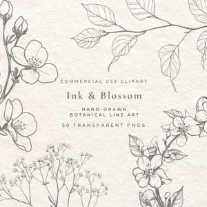 Könnte beinhalten: Ink & Blossom kommerzielle Cliparts. Handgezeichnete botanische Strichzeichnungen mit zarten Blumen- und Blätterillustrationen. Der Text "50 transparente PNGs" ist auf einem strukturierten Hintergrund enthalten.