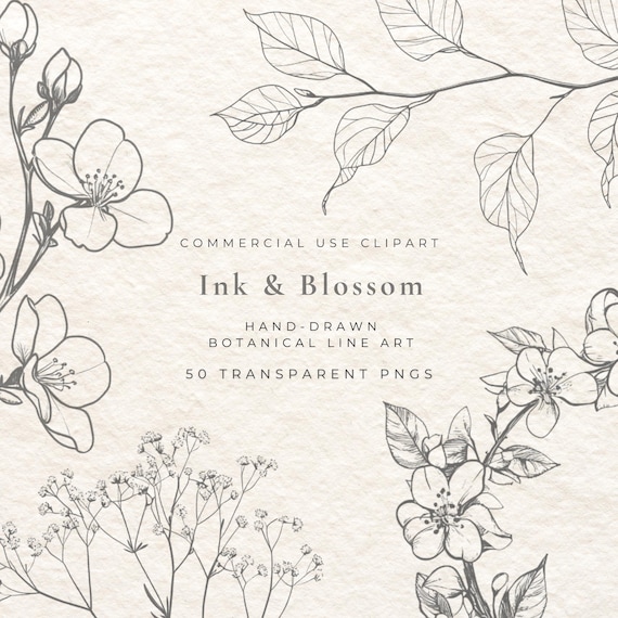 50 Fine Line Flower Clipart Bundle – Apple Blossoms, Spring Floral Illustrations, Minimal Botanical PNGs, Elegant Line Art Flowers