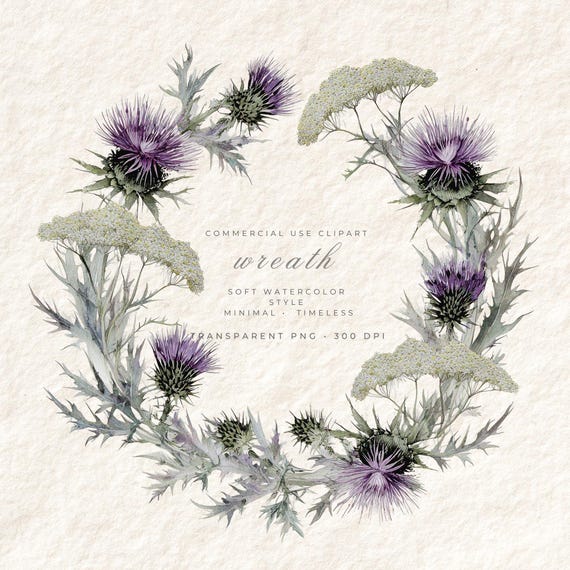 Wild Achillea Wreath PNG Watercolor, Transparent Background Clipart, Digital Art Commercial Use, Boho Botanical Download