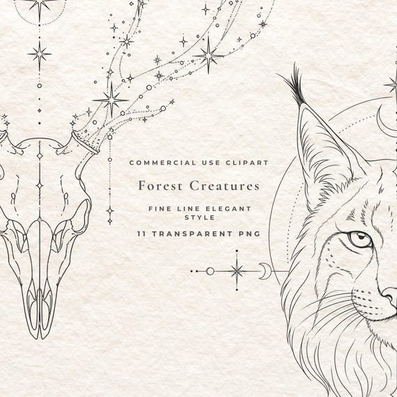 Celestial Woodland Animal Clipart Bundle PNG, 11 Fine Line Mystical Animal Illustrations Commercial Use, Boho Nature Branding Pack