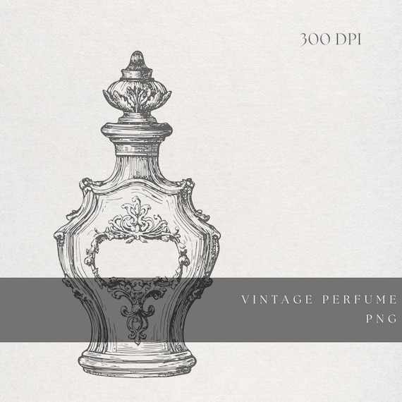 Perfume Bottle Clipart PNG | Fine Line Vintage Glass Illustration | Transparent Background | Digital Download Vanity Boudoir Art