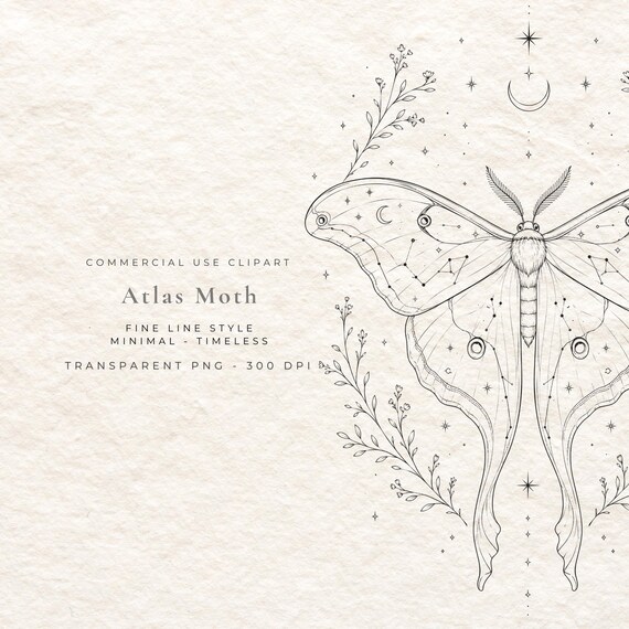 Atlas Moth Clipart PNG, Celestial Fine Line Moth Digital Download, Dark Academia Insect Illustration, Cottagecore Wall Art Print File