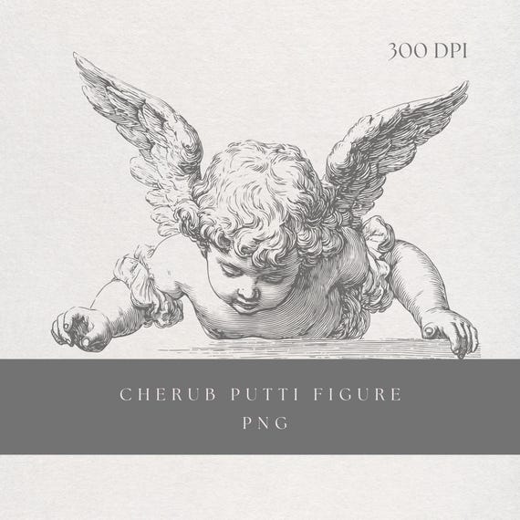 Cherub Clipart PNG | Fine Line Putti Renaissance Illustration | Transparent Background | Digital Download Classical Angel Art