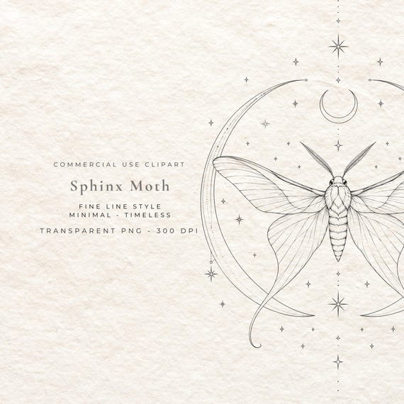 Sphinx Moth PNG, Fine Line Hummingbird Moth Digital Download, Dark Academia Insect Illustration, Botanical Wall Art Printable File