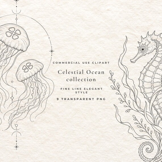 Celestial Ocean Animal Clipart Bundle PNG, 9 Fine Line Sea Life Illustrations Commercial Use, Mystical Coastal Digital Branding Pack