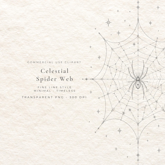Celestial Spider Web PNG, Mystical Cobweb Fine Line Art Digital Download, Gothic Halloween Clipart, Witchy Wall Art Printable File