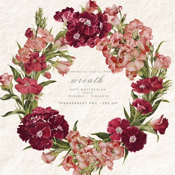 Sweet William Wreath PNG Watercolor, Transparent Background Clipart, Digital Art Commercial Use, Boho Botanical Download